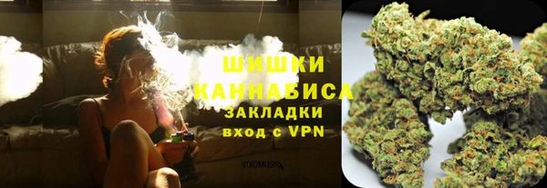 гидра Арсеньев
