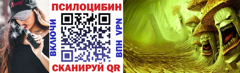 дарнет шоп  Урай  блэк спрут как зайти  Псилоцибиновые грибы мицелий 